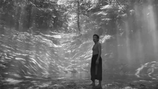  《黑之牛》剧照4 